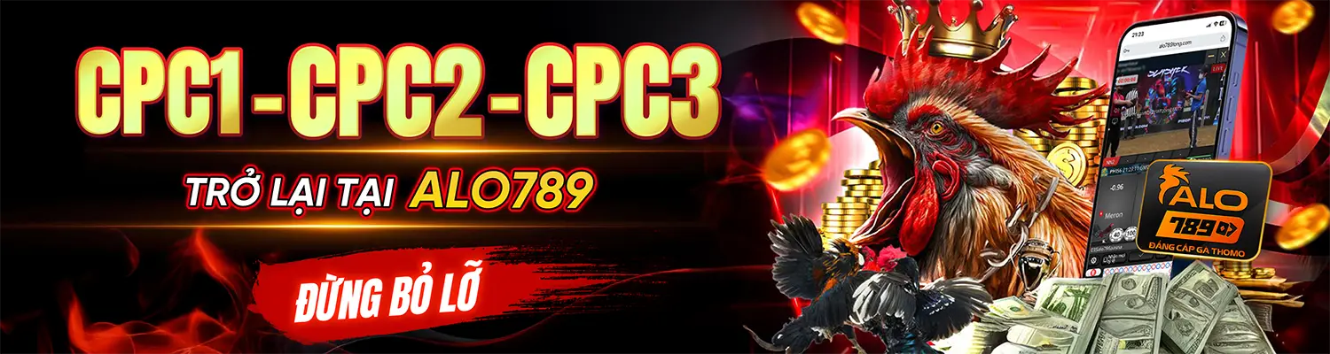 ALO789 RAS - Nhà Cái ALO789.COM Cá Cược Đá Gà Thomo T8/2026